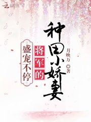 ʢ費ͣС