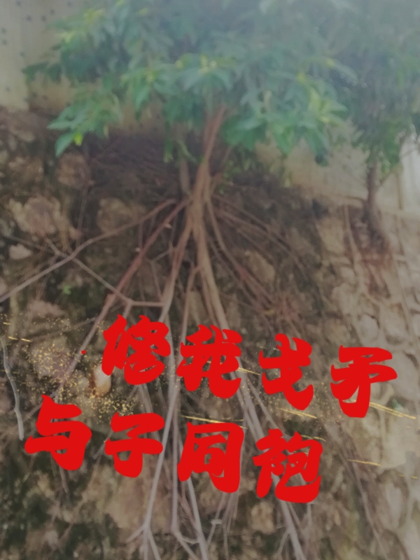 Ҹìͬ