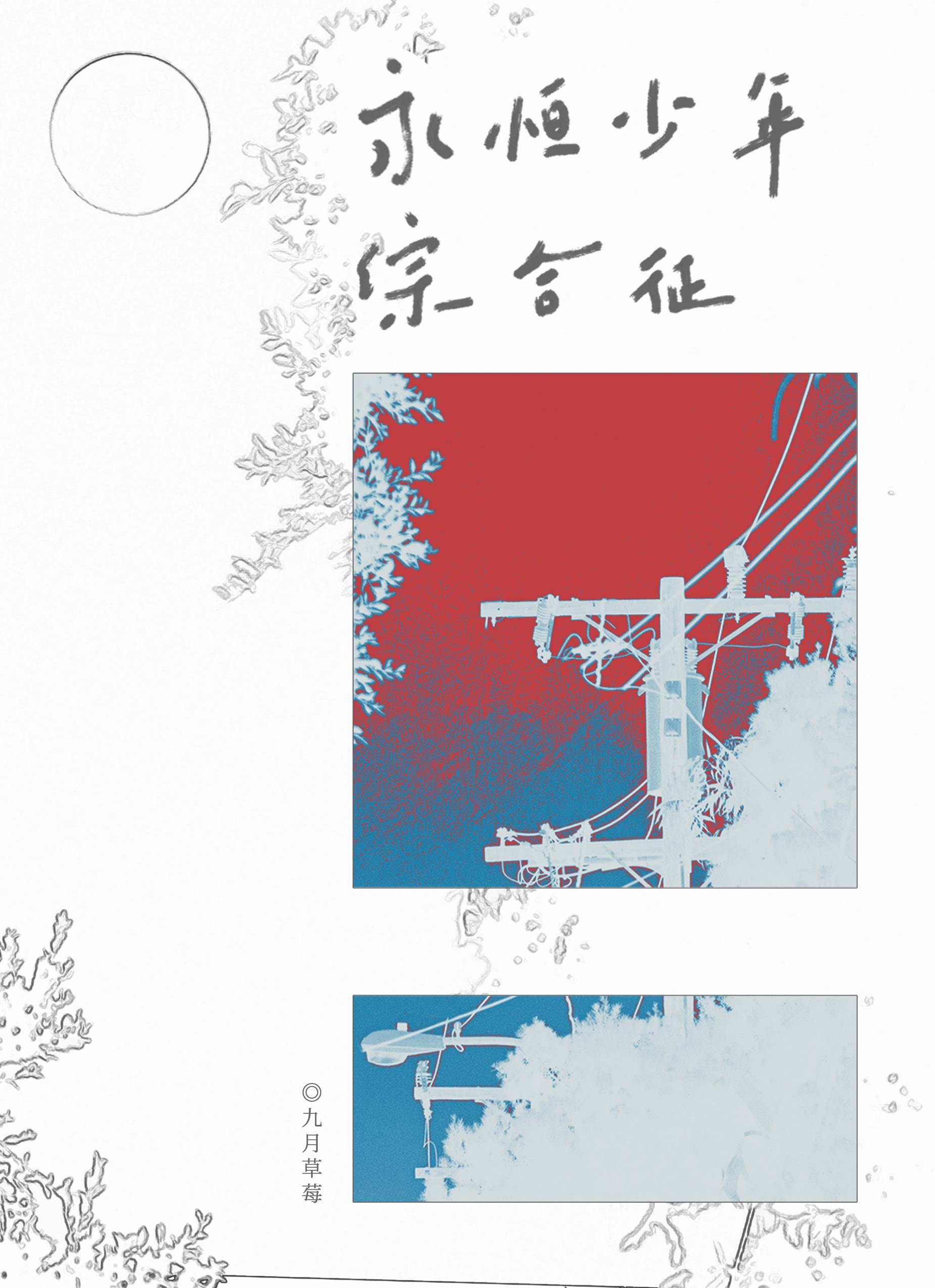 ۺ[]