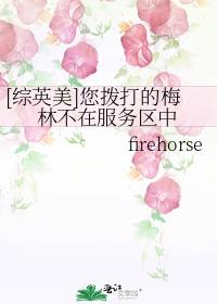 [Ӣ]÷ֲڷ