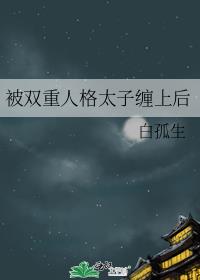˫˸̫ӲϺ