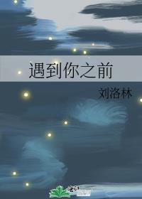 ֮ǰ