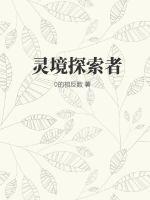 龳̽
