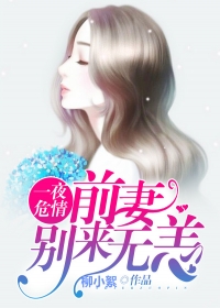 һҹΣ飺ǰޣ