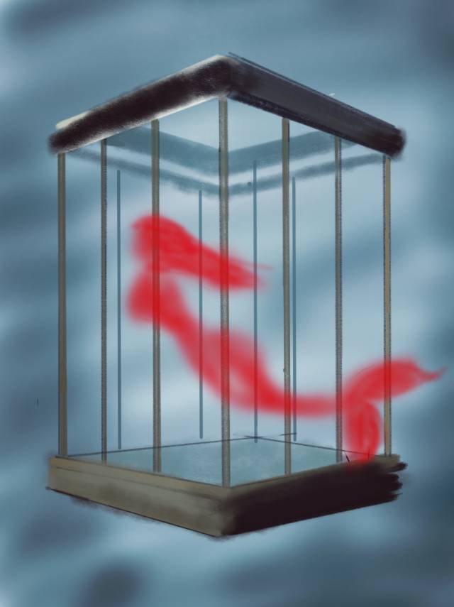 ξ