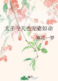 ̫ӽҲ