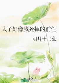 ̫Ӻǰ