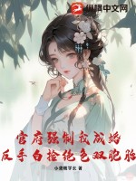 ٸǿҳɻ飬ְ׼ɫ˫̥