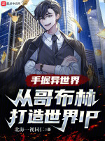 Ӹ粼ִIP
