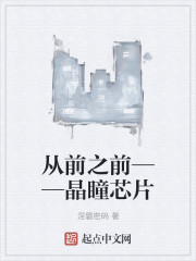 ǰ֮ǰͫоƬ