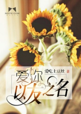 㣬֮