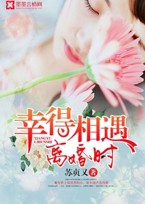 Ѵ