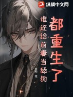 ,˭ǰ޵򹷣
