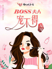 boss˳費