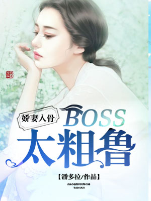 ǽޣBOSS̫³